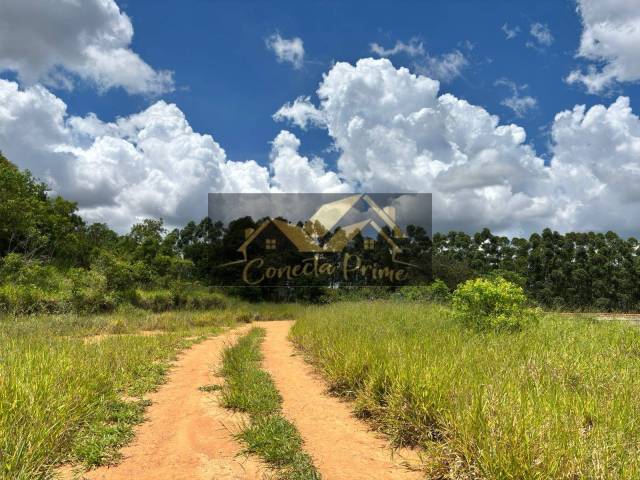 Terreno para Venda em Piedade - 4